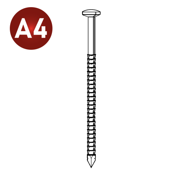 Pointe tête bombée annelée inox a4 Pointe tête bombée annelée inox a4