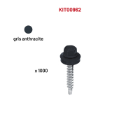 1000  VHB 4,8x35 Gris anthraci